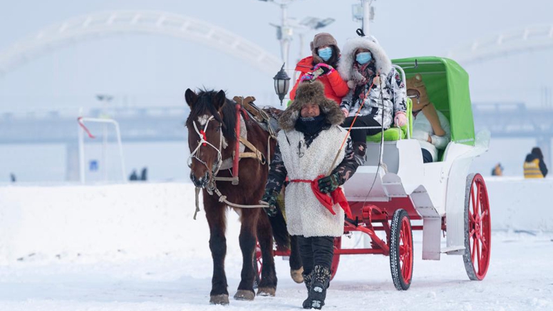 Touristen haben Spaß im Eis-Schnee-Themenpark in Harbin