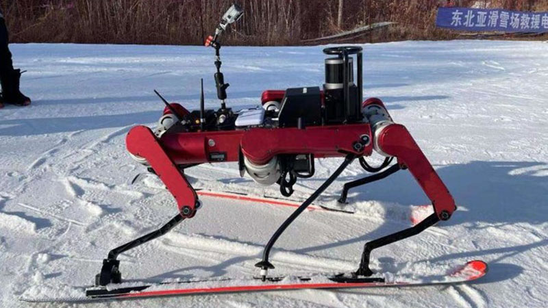 Chinesische Universität entwickelt skifahrenden Roboter