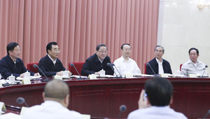 Yu Zhengsheng leitet Beratungsgespräch über Armutsbekämpfung
