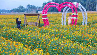 Blumen im Frühlingsfest in Hainan