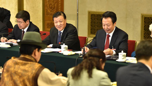 Liu Yunshan nimmt an Gruppenberatung von Vertretern des Autonomen Gebiets Innere Mongolei teil