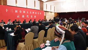 Podiumsdiskussion der Delegation aus Yunnan abgehalten