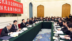 Liu Yunshan nimmt an einer Gruppenberatung von Abgeordneten aus Ningxia teil
