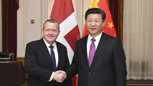 Xi Jinping trifft sich mit dänischem Premier in Washington