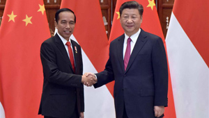 Xi Jinping trifft seinen indonesischen Amtskollegen in Hangzhou
