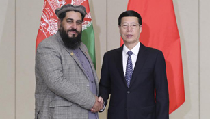 Zhang Gaoli trifft den afghanischen Präsidenten des Meshrano Jirga, Fazal Hadi Muslimyar in Boao