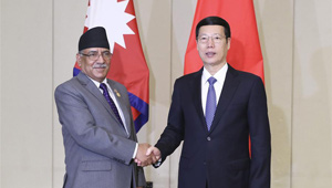 Zhang Gaoli trifft den nepalesischen Premierminister Pushpa Kamal Dahal in Boao