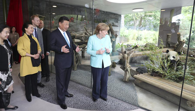 Xi Jinping und Merkel nehmen an Eröffnungszeremonie des Panda Garden in Berlin teil