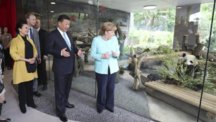 Xi und Merkel eröffnen Panda Garden im Berliner Zoo
