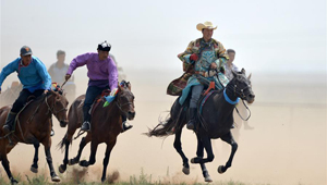 Across China: Hirten beschreiten digitalen Weg in der Inneren Mongolei