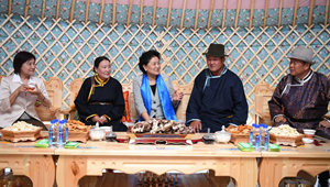 Liu Yandong inspiziert Hulun Buir in der Inneren Mongolei