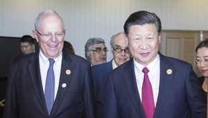 Xi Jinping trifft peruanischen Präsidenten Pedro Pablo Kuczynski auf APEC CEO-Gipfeltreffen