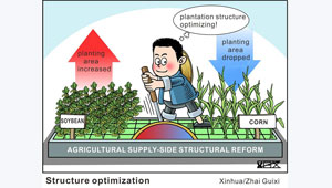 Grafik: Angebotsseitige Strukturreform in Landwirtschaft