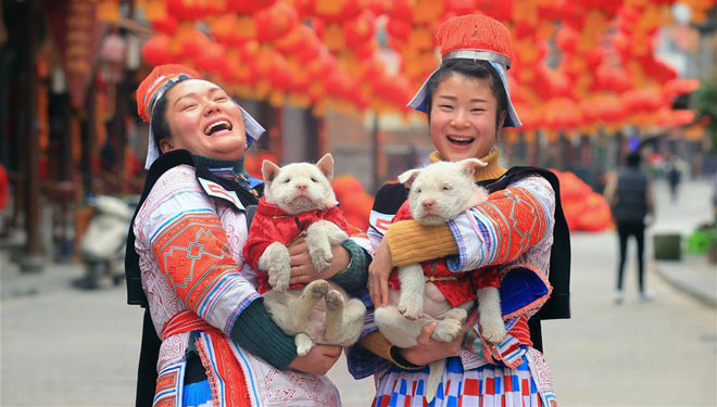 Xiasi-Hund begrüßt das kommende Neujahr des Hundes