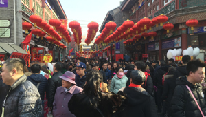 Traditionelle Atmosphäre zum chinesischen Mond-Neujahr auf der Guwenhua Jie genießen