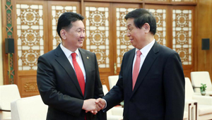 Li Zhanshu trifft mongolischen Premierminister in Beijing