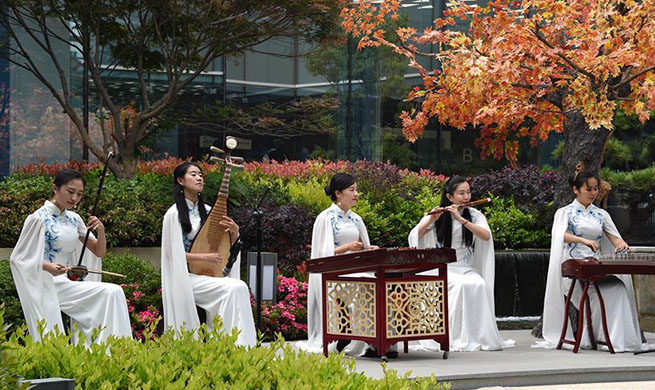 Chinesische Kultur im Medienzentrum für 18. SOZ-Gipfeltreffen in Qingdao angezeigt
