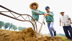 Schüler nehmen an landwirtschaftlichen Tätigkeiten in Nordchina teil