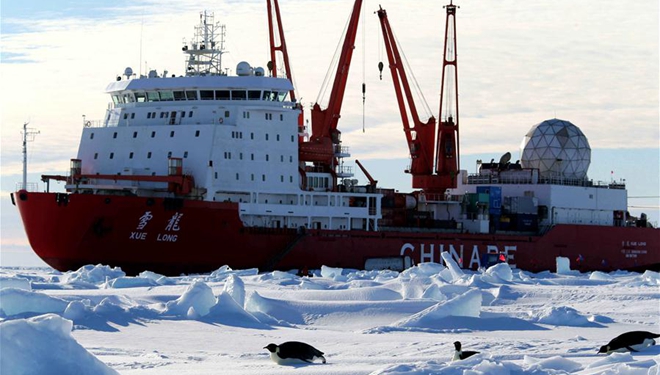 Pinguine in der Nähe des chinesischen Forschungseisbrechers Xuelong in Antarktis