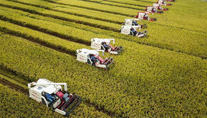 Chinas Wirtschaft wächst 2018 um 6,6 Prozent