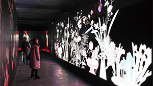 Digitale Erlebnisausstellung zum Frühlingsfest wird im Palastmuseum stattfinden