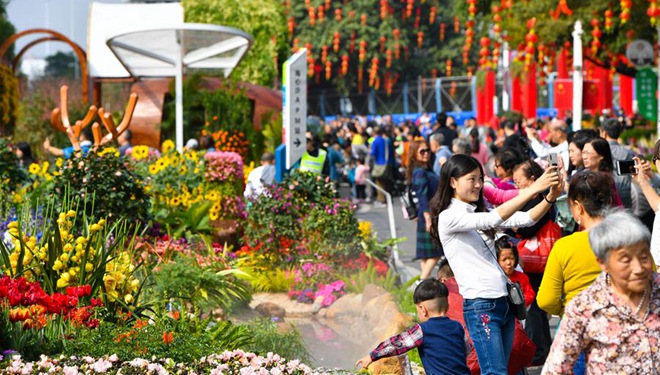 Gartenbaumesse und Blumenmärkte in Guangzhou begrüßen chinesisches Neujahr