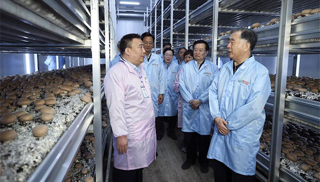 Wang Yang inspiziert Henan