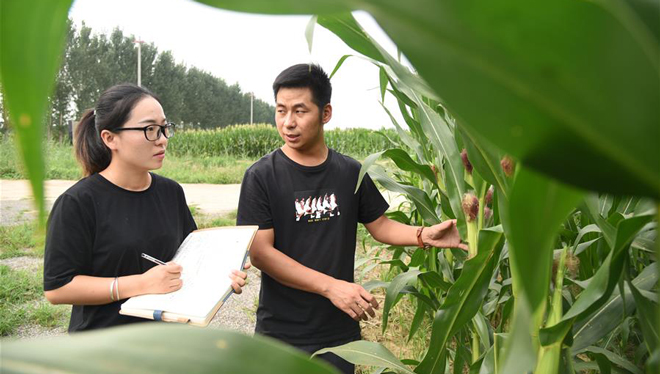 Pionier der Agrartechnologie in Dezhou, Shandong