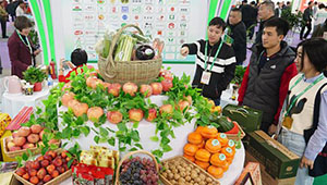 17. Internationale Landwirtschaftsmesse in China fand in Nanchang statt