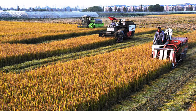 Provinz Zhejiang verzeichnet starkes Einkommenswachstum der Landbevölkerung