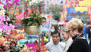 Blumenmarkt zum Frühlingsfest in Chinas Hongkong