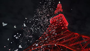 Der Tokyo Tower für chinesisches Neujahrsfest rot beleuchtet