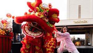 Höhepunkte der verschiedenen Veranstaltungen der Welt zum chinesischen Frühlingsfest