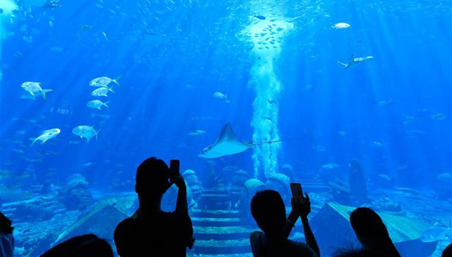 Tourismusbranche von Sanya beschleunigt Erholung in Sommerferien