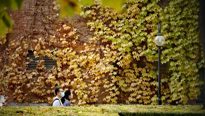 Goldener Herbst an der Tsinghua-Universit&auml;t