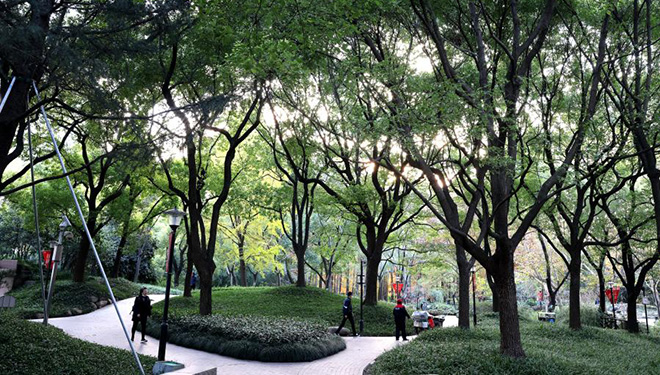 Landschaft in Shanghai: Grün in der Stadt