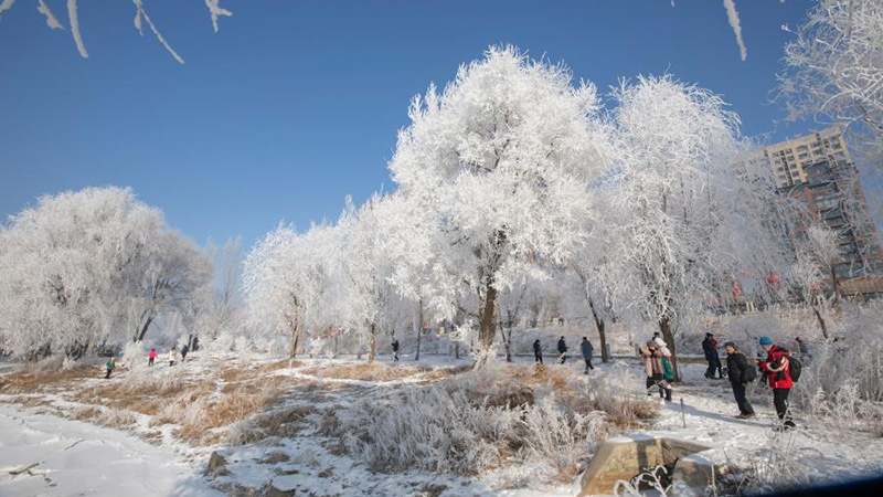 Besucher genießen frostige Landschaft entlang des Flusses Songhua in der Stadt Jilin