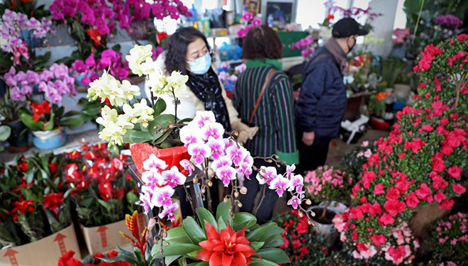Kunden wählen Blumen für kommendes Frühlingsfest in Anshan aus