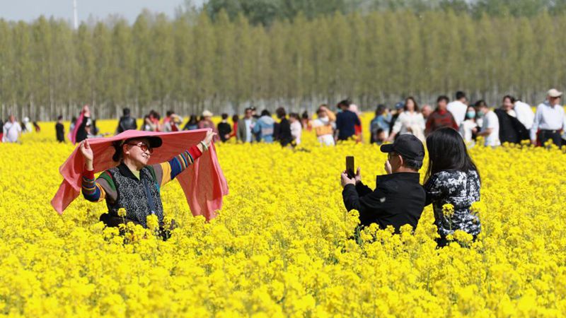 Touristen genießen blühende Blumen im Kreis Gu'an in Hebei