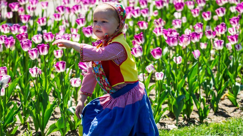 Tulip Time Festival 2021 findet in Michigan statt