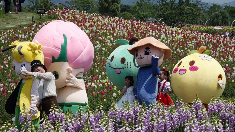 Animationskarneval auf Blumenfeldern in Hangzhou