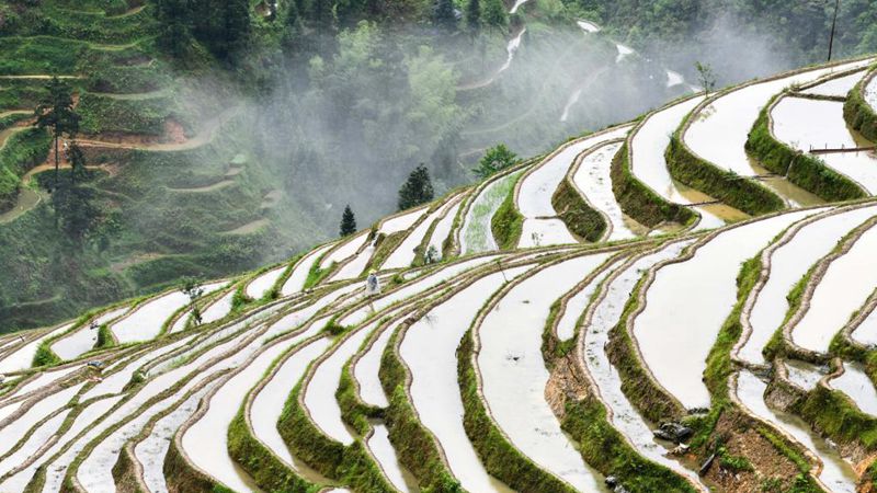 In Bildern: Terrassierte Felder in Guizhou