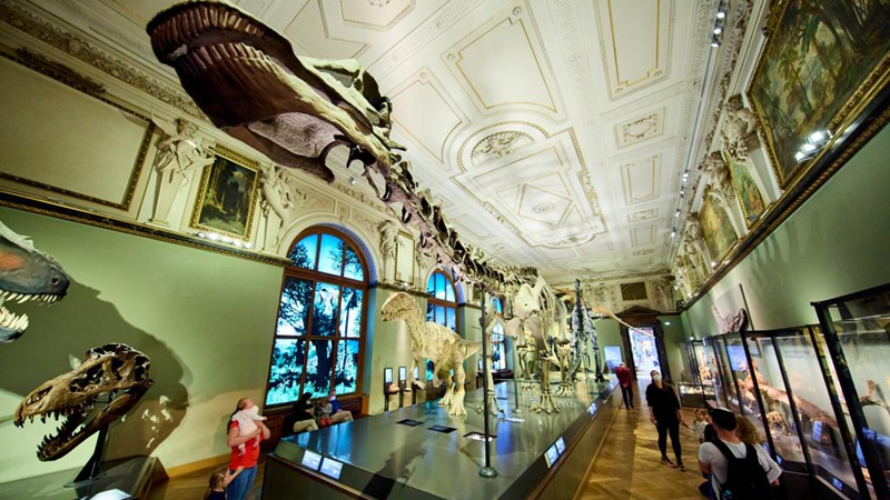 Museen in Wien wieder geöffnet