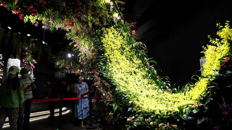 10. China Flower Expo findet in Shanghai statt