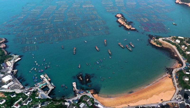 In Bildern: Muschelzuchtbasis der ostchinesischen Provinz Zhejiang