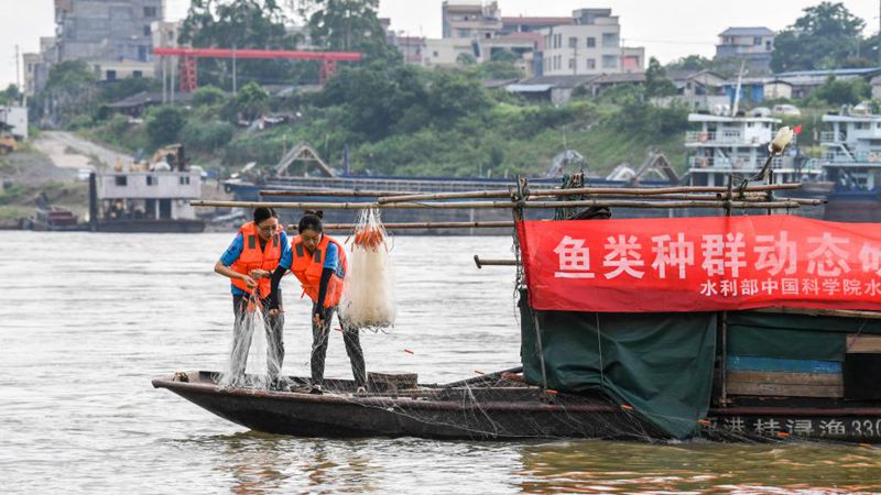 Bildgeschichte: Yuan Ting, Expertin für Fischzucht, setzt sich für Schutz der aquatischen Biodiversität ein