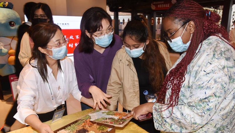 Internationale Studenten erleben TCM auf 2. Globaler Gesundheitsexpo des Boao-Forums für Asien