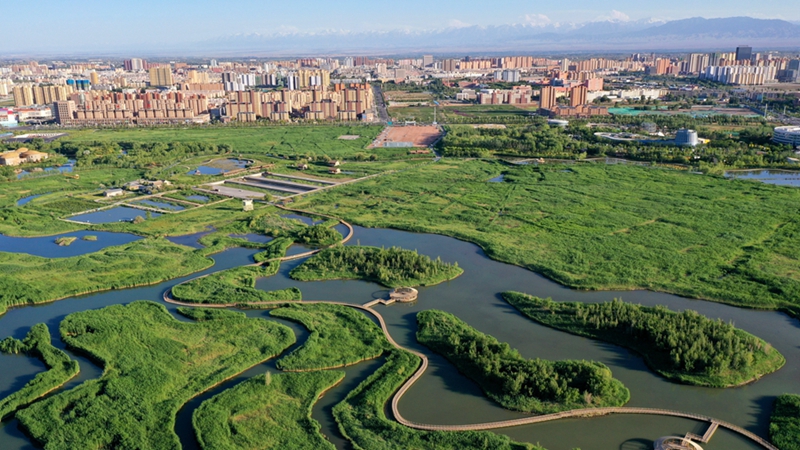 Chinas Städte schaffen mehr Raum für Grünflächen: Medienbericht
