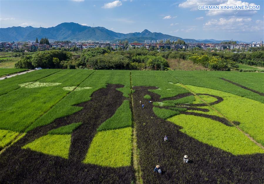 CHINA-ZHEJIANG-FUYANG-VILLAGE-RICE PADDY ART (CN)